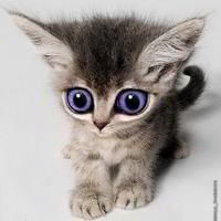 Вера Потапова