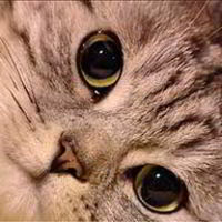 Яна Сабурова