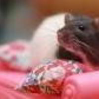 Юлия (Люлюша)