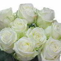 Юля (Муми-мама)