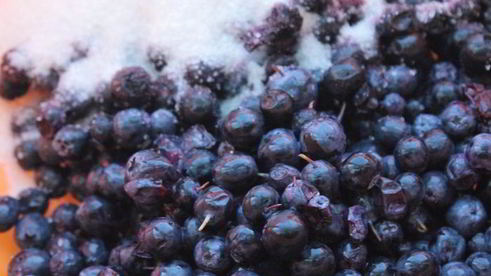 булочки с голубикой