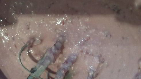 королевская малиновая ватрушка в мультиварке