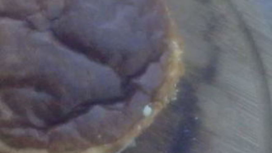 Рецепт чизкейка из белого шоколада