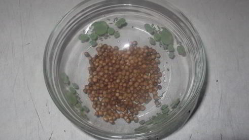 карельский черный хлеб