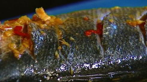 пряный сибас в лаваше с огурцом и зеленью