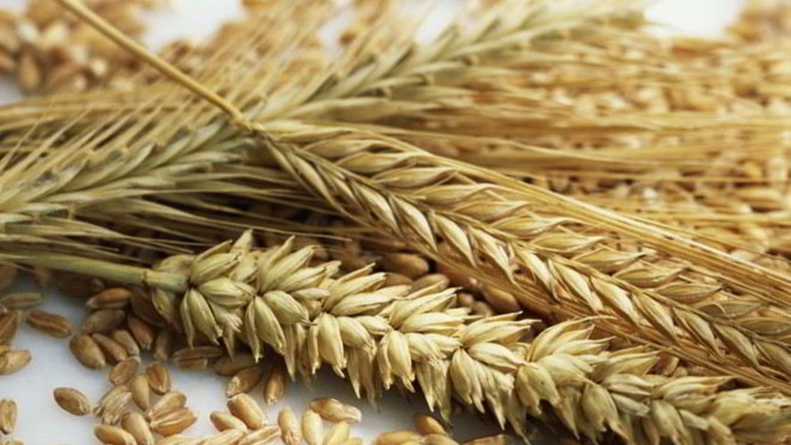 Рецепт ржаных лепешек