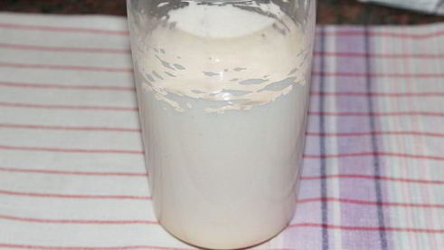 манник обыкновенный