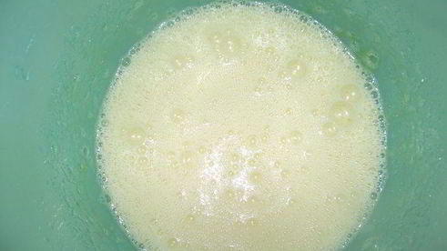 манник полосатик