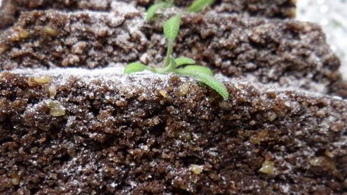 постный шоколадный манник с миндалем