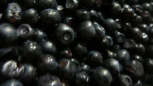 классический черничный пирог