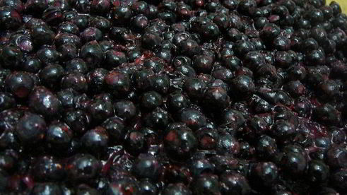 классический черничный пирог