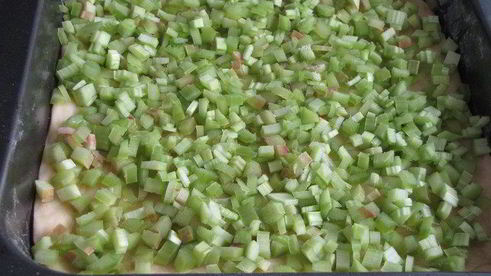 пирог с ревенем и хрустящей посыпкой