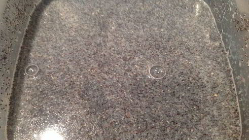 сливовый пирог с маковой начинкой