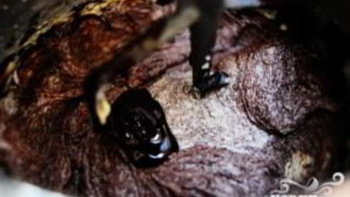 шоколадные пирожные в сливочной глазури