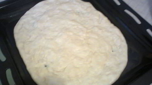 пицца с грибами и с гусиным фаршем