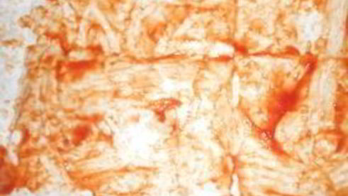 пицца в лаваше