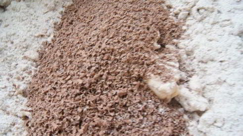 шоколадные пряники вкусные подарки