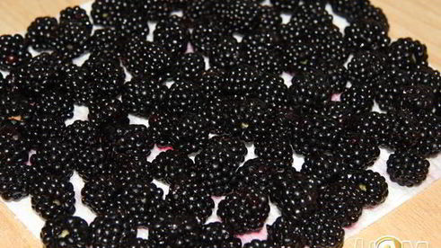 шарлотка с ежевикой