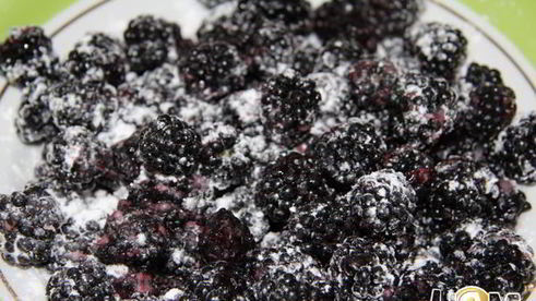 шарлотка с ежевикой