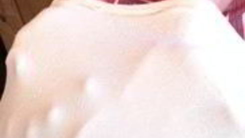 венский яблочный штрудель