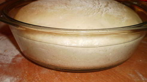 тесто для пиццы и открытых пирогов