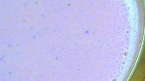 нежный заливной тортик