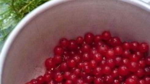 торт из красной смородины