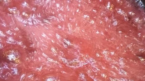 эклеры малиновая роза