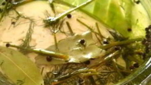 белая квашеная капуста