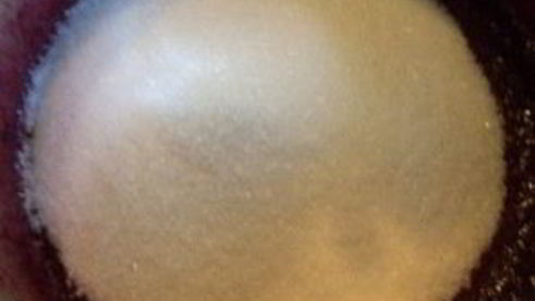 джем из черной смородины на зиму