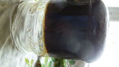 виноградно-сливовый джем