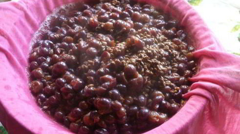 виноградно-сливовый джем