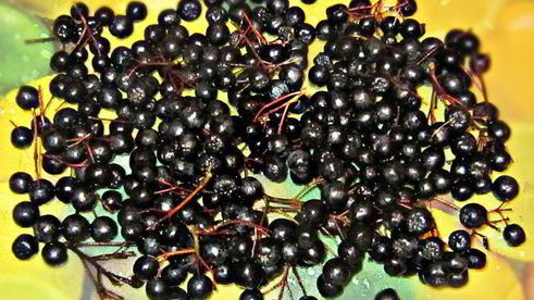 яблочный джем с черноплодной рябиной