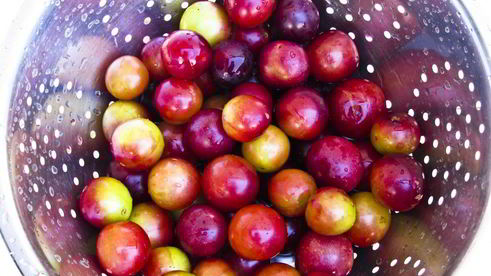 компот из алычи и яблок на зиму