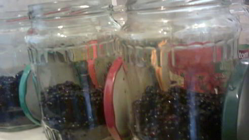 компот из ежевики