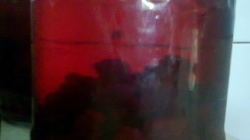 компот из ежевики