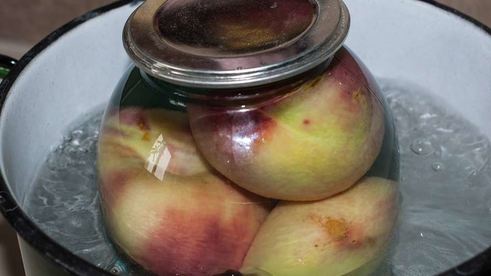 компот из персиков на зиму