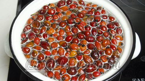 компот из шиповника