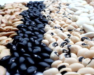 Консервированная фасоль