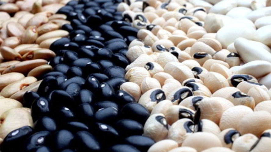 Рецепт консервированной фасоли