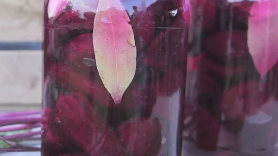 Рецепт квашеной свеклы