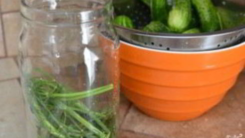 быстрые маринованные огурцы