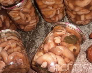 Маринованные белые грибы