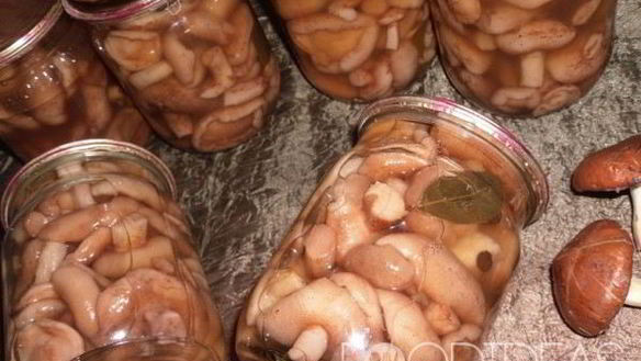 Рецепт Маринованных белых грибов