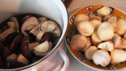 маринованные боровики