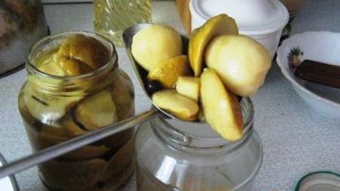 маринованные боровики