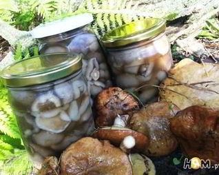 Маринованные маслята