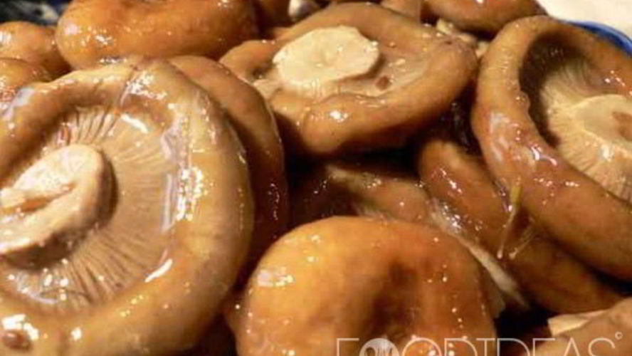 Рецепт маринованных рыжиков