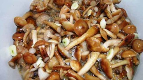 опята маринованные