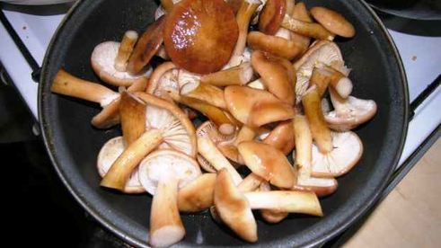 опята маринованные